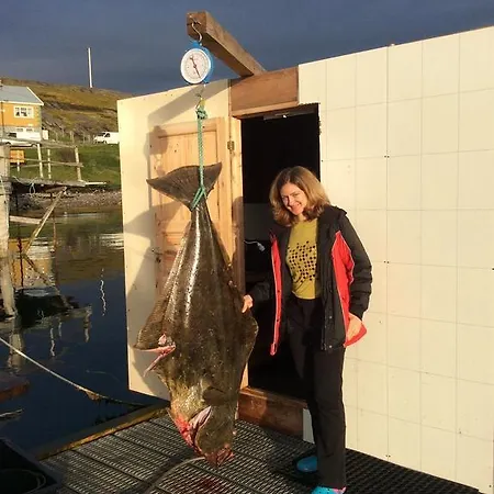 Holiday park Arctic Fishingland *