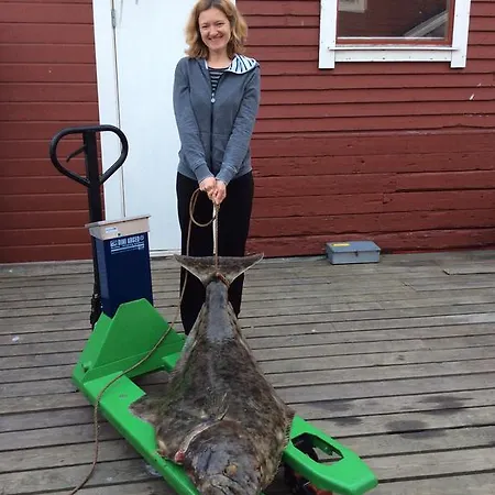 Holiday park Arctic Fishingland
