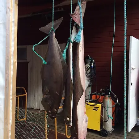 Holiday park Arctic Fishingland Repvag