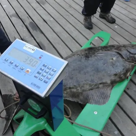 Arctic Fishingland * Repvag