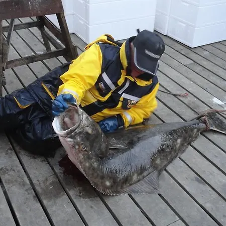 Arctic Fishingland Holiday park Repvag