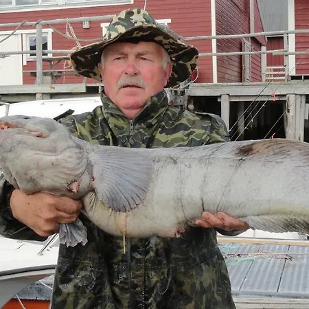 Arctic Fishingland