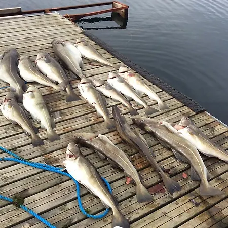 Holiday park Arctic Fishingland Repvag